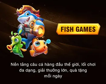 Hình ảnh minh họa các tổ chức hỗ trợ bên ngoài